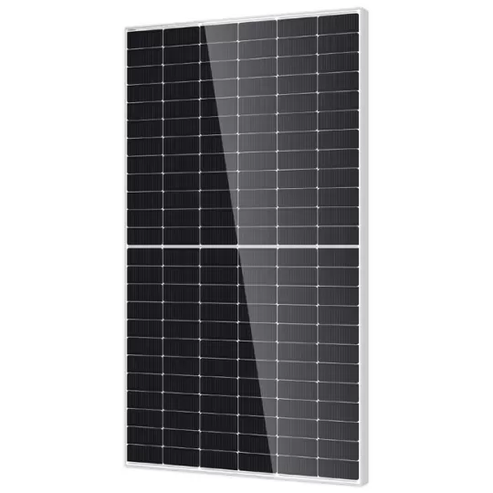 DMEGC 595Wp Zilver-Wit Glas-Glas